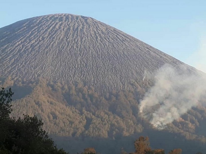 6 Hektare Hutan Gunung Semeru Hangus