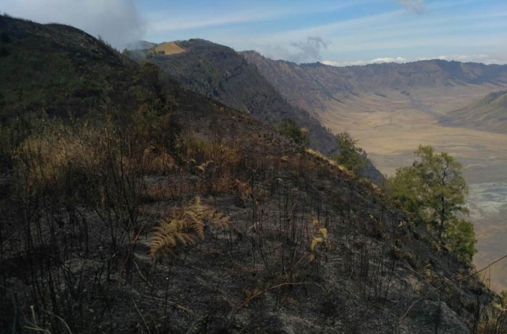  Mount  Semeru  Hiking Trails Closed Medcom id