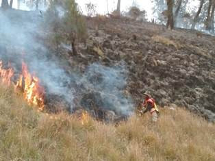 Kebakaran Gunung Semeru Tersisa Dua Titik Api