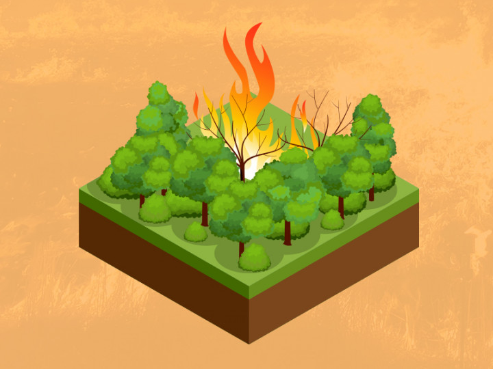 Menghitung Dampak Karhutla