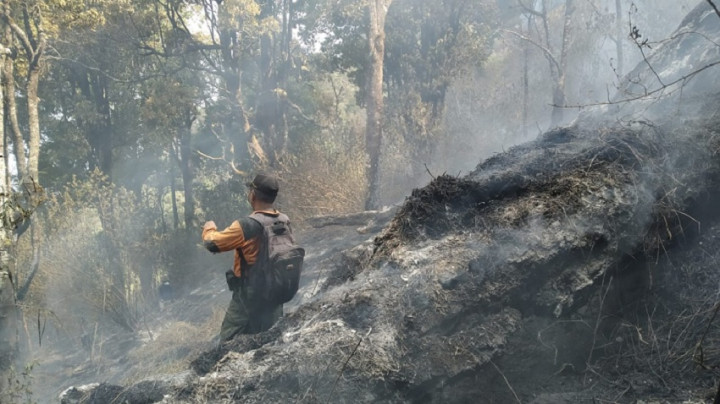 Dua Titik Api Masih Menguasai Sumbing