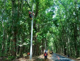 Alas Purwo dan Pantai Plengkung Akan Terang