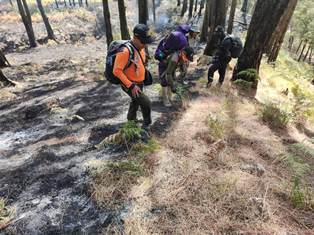 Gunung Arjuna Kembali Terbakar