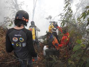 93 Hektare Hutan Gunung Semeru Hangus