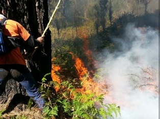 Aktivitas Pendakian di Gunung Arjuna Dihentikan