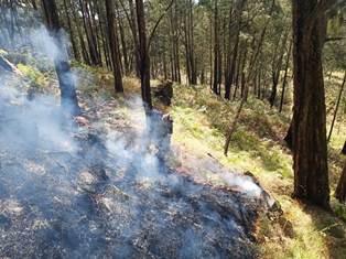 Kebakaran Gunung Arjuna Padam Sebagian