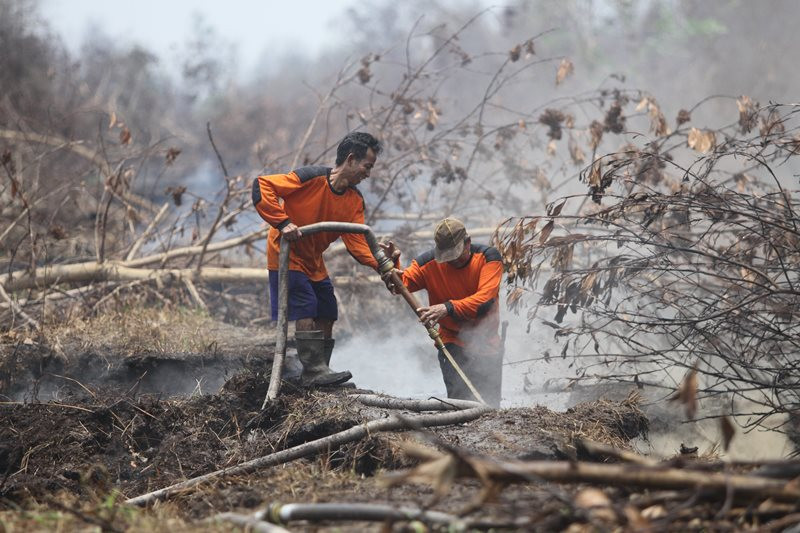 Petugas patroli pencegahan Karhutla melakukan pemadaman kebakaran lahan gambut di desa Ganepo, Kabupaten Kotawaringin Timur, Kalimantan Tengah, Rabu (2/10/2019). ANTARA FOTO/Bayu Pratama S