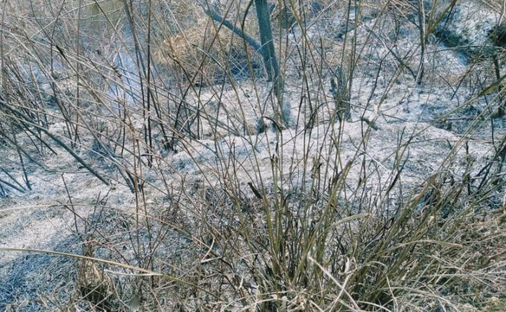 Kebakaran Gunung Semeru Belum Padam