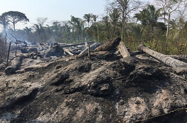 Hujan Deras Padamkan Kebakaran Hutan di Bolivia