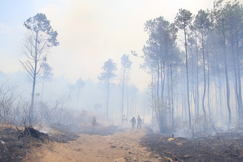Sejumlah relawan dari Masyarakat Peduli Api (MPA) melakukan penyekatan untuk mencegah kebakaran meluas di kawasan lereng Gunung Ciremai, Kuningan, Jawa Barat, Kamis (4/10). ANTARA FOTO/Dedhez Anggara
