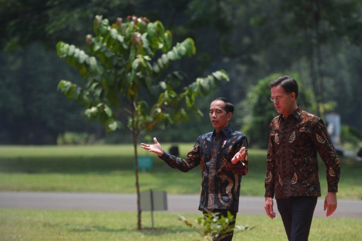 Jokowi Praises Dutch Govt's Commitment to Train Oil Palm Farmers