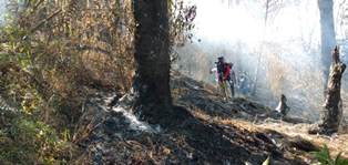 Kebakaran Gunung Ciremai Padam