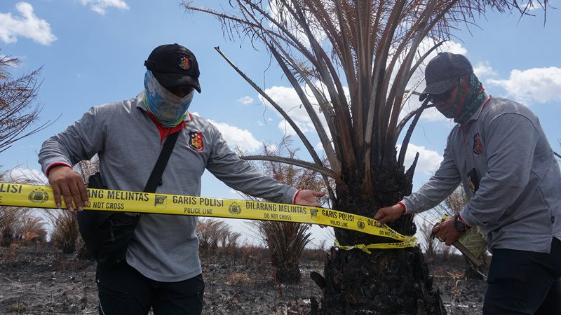 Tim Satgas Gakum Karhutla Dit Reskrimsus Polda Kalsel memasang garis polisi di lahan terbakar milik PT MIB di Kecamatan Martapura Barat, Kabupaten Banjar, Kalimantan Selatan, Rabu (25/9/2019). ANTARA FOTO/Juhri