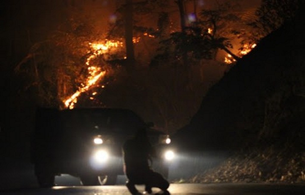 Kebakaran hutan. Foto: MI/Amiruddin Abdullah Reubee