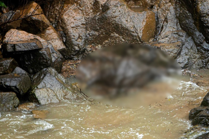 Gajah Liar Kembali Jatuh ke Air Terjun, 11 Mati