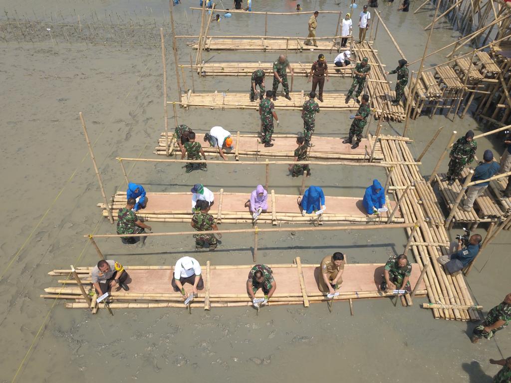 Penanaman bibit bakau di Cilacap. Foto: Medcom.id/Husen Miftahudin