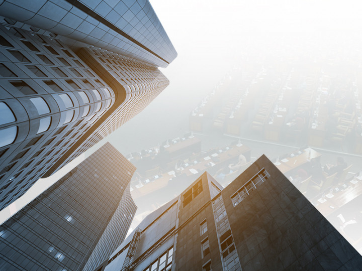 Anggota Dewan Pemilik Beberapa Perusahaan