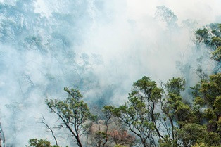 Area Terbakar di Gunung Ciremai Terus Dipantau