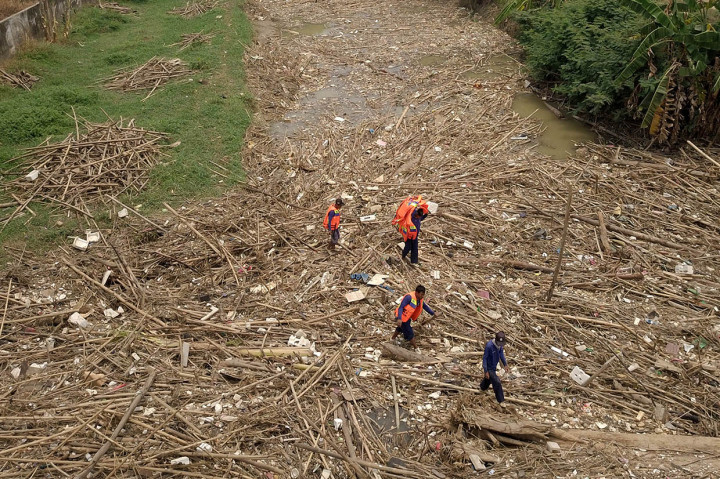 Pembersihan Sampah Bambu di Sungai Cikeas Terhambat Akses Alat Berat