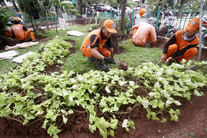 Revitalisasi Taman di Jakarta Ramah Penyandang Disabilitas