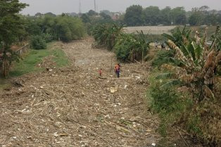 Tumpukan Sampah Bambu Kali Cikeas Sulit Diurai