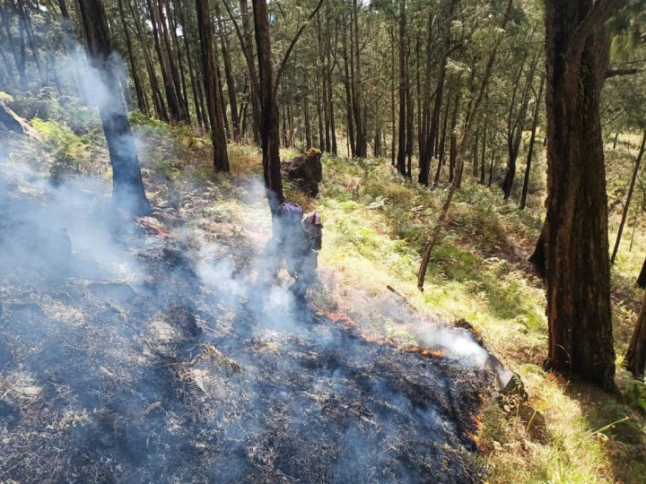 Pemadaman Kebakaran Gunung Arjuno Terkendala Awan Tebal