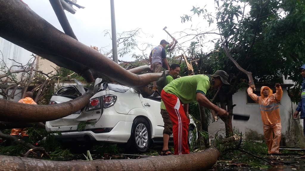 Petugas menyingkirkan pohon tumbang yang menimpa sebuah mobil di Cianjur, Jawa Barat. (Foto: MI/Benny Bastiandy)
