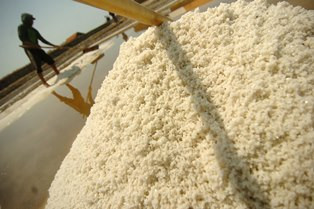 Kuota Impor Garam Diminta Dibatasi