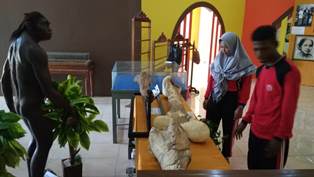 Fosil Purba Dipamerkan di Museum Kretek Kudus