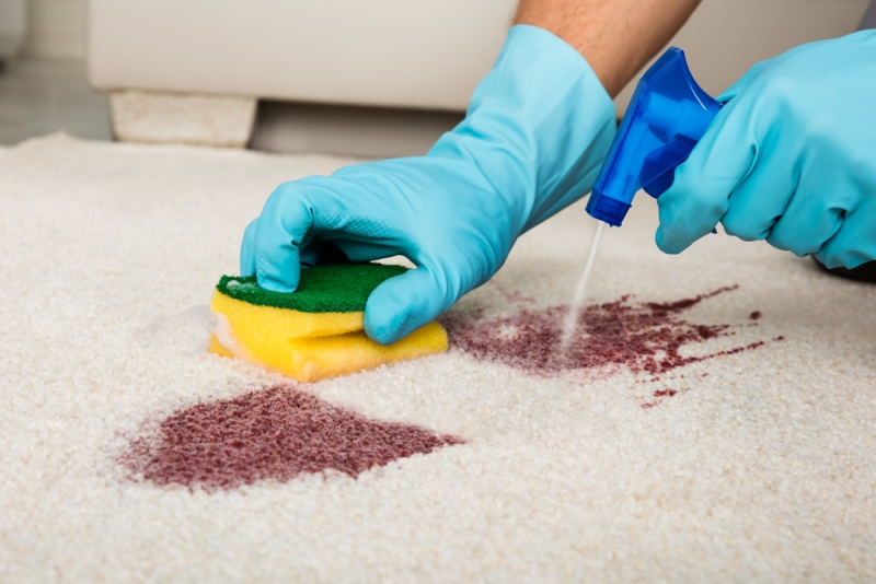 Teknik membersihkan noda dari karpet. Foto: Shutterstock