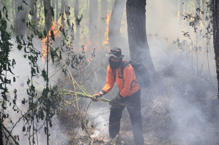 Kebakaran Gunung Semeru Belum Bisa Dipadamkan