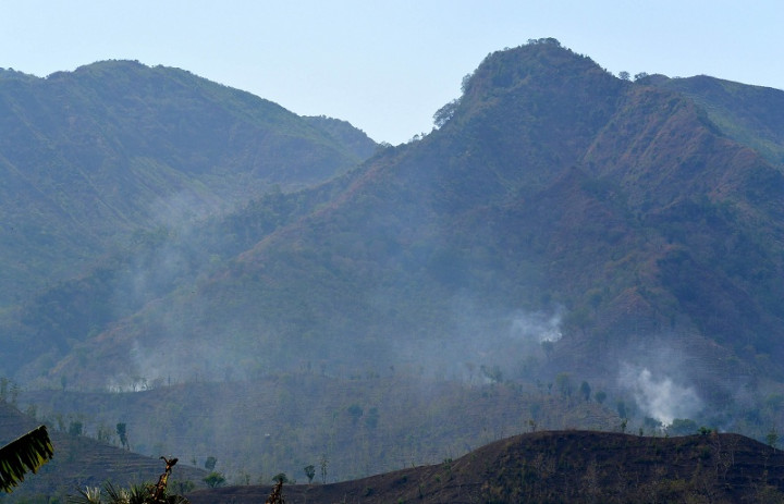 Pendakian Gunung Argopuro Ditutup Sementara