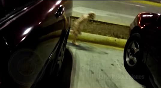 Penampakan Jin Saat Pelantikan Jokowi-Ma'ruf? Ini Faktanya