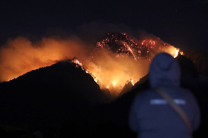 Kebakaran Landa Tiga Gunung di Banyuwangi