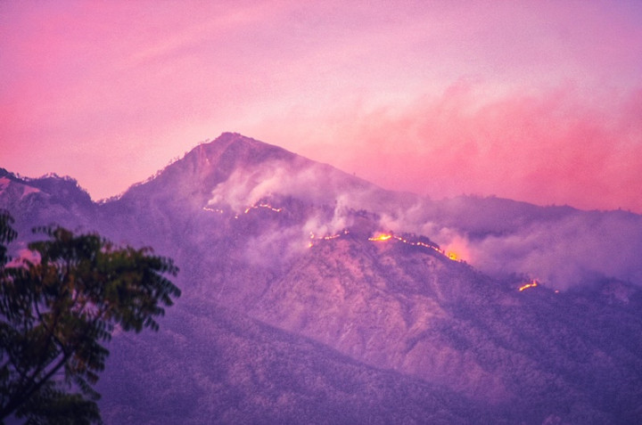 Polda NTB Siagakan Satgas Karhut di Kawasan Rinjani