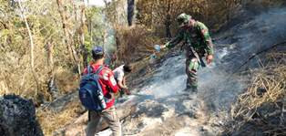 Api Masih Berkobar di Hutan Gunung Sumbing