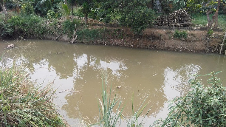 Sampah Bambu Lenyap di Sungai Cikeas