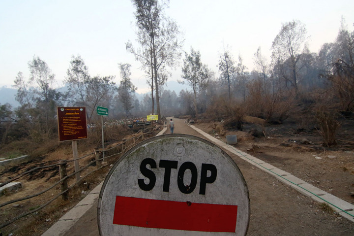 Status Tanggap Darurat Kebakaran di Banyuwangi Diperpanjang