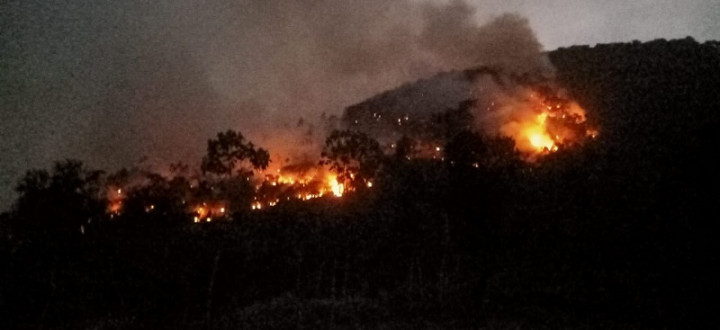 Kebakaran Hutan Gunung Guntur Diidentifikasi