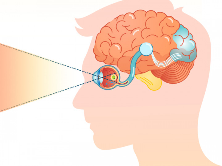 Pentingnya Menjaga Kesehatan Mata Anak