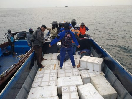 Penyelundupan Ratusan Ribu Benih Lobster Digagalkan