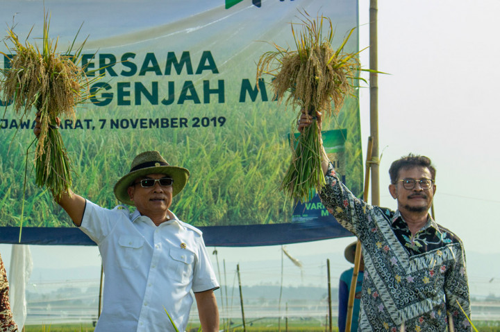 Mentan Panen Padi Bersama Moeldoko