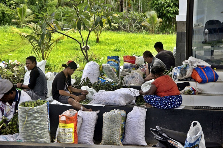 Pemprov Papua Diminta Memperkuat Kabupaten Ketimbang Pemekaran