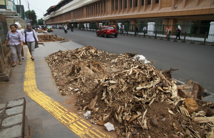Anies Dilarang Dewan Asal Menebang Pohon