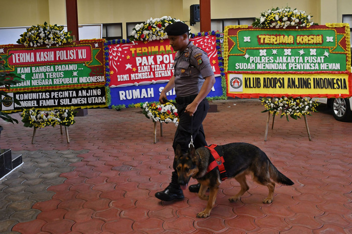 Karangan Bunga dari Pecinta Hewan Penuhi Mapolres Jakpus