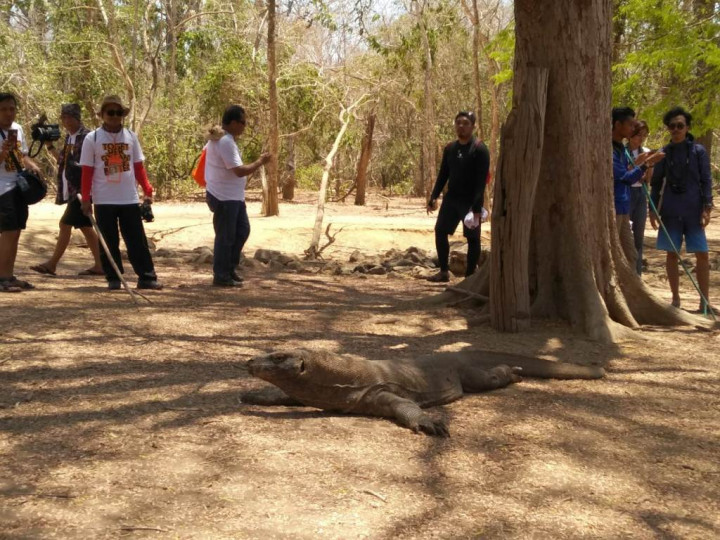 Pemerintah Gelontorkan Rp1,7 Triliun Benahi Kawasan Wisata Labuan Bajo