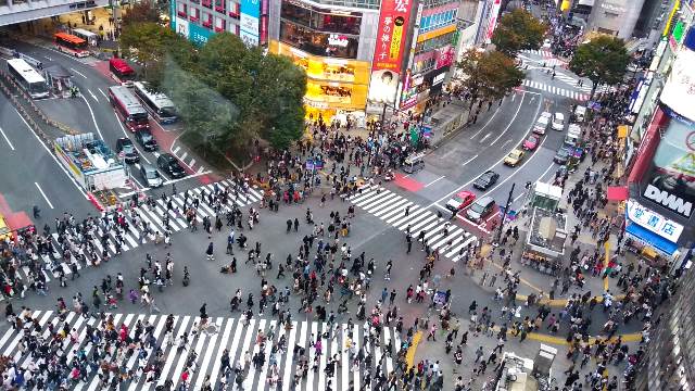 Shibuya Crossing, salah satu tempat yang menggambarkan Tokyo yang sibuk. (Foto: Dok. Luhur Hertanto)