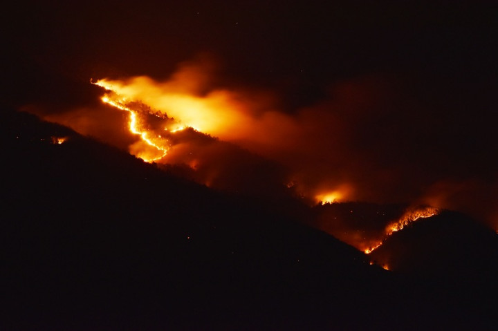 Lereng Gunung Lawu Terbakar