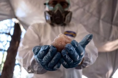 Nekat Membuat Sabu, Profesor 'Breaking Bad' Ditangkap