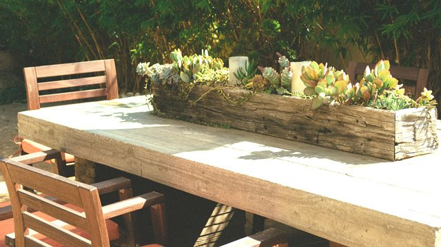 Cara Simpel Membuat Taman Succulent